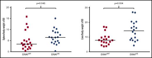 Figure 3. Organomegaly in leukemic BRAFWT and BRAFVE TCL1 transgenic mice. Weight ratios of spleens (n = 19 for each genotype; P = .043) and livers (n = 18 for each genotype; P = .004) in BRAFWT and BRAFVE TCL1 mice meeting euthanasia criteria. The horizontal bars represent the median.