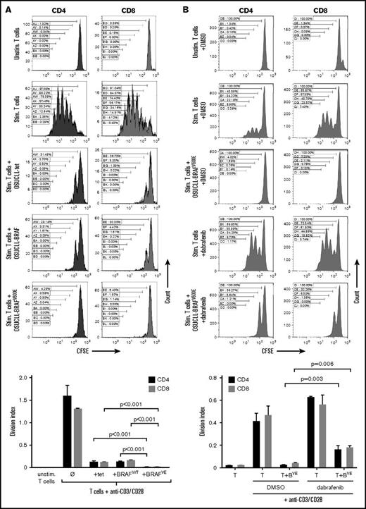 Immunosuppressive effect of BRAFV600Ein B cells in vitro. (A) OSUCLL cells with doxorubicin-induced BRAFV600E expression were incubated 1:1 with normal human CD3 T cells labeled with carboxyfluorescein succinimidyl ester (CFSE) and stimulated with antibodies to CD3 and CD28. After a 4-day incubation, proliferation of CD4+ and CD8+ T cells was determined by CFSE flow cytometry. Proliferation caused dilution of the CFSE and is evidenced by the appearance of lower-intensity peaks. Data are representative of 3 separate experiments using T cells from different donors. Statistical analysis of division indices from the 3 independent experiments are included. (B) The experiment from panel A was repeated with or without dabrafenib (2 µM). Data are representative of 3 similar experiments using T cells from different donors. Statistical analysis of division indices from 3 independent experiments are included. (C) The experiment in panel A was repeated with the different cell types in the same or in opposite chambers of 0.4 µm transwell plates. In this experiment, CD4 and CD8 T cells were seeded separately. Data are representative of 3 separate experiments using T cells from different donors. Statistical analysis of division indices from 3 independent experiments are included. Vertical bars represent mean values, and error bars represent standard error of the mean. Stim., stimulated; Unstim., unstimulated.