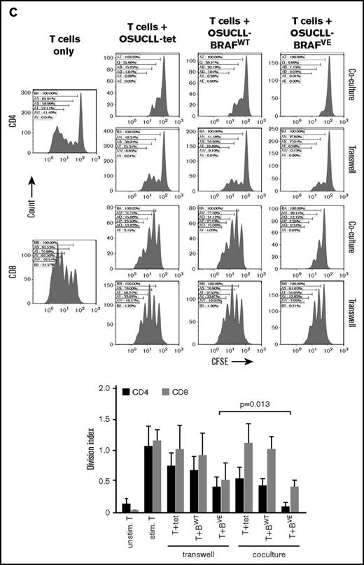 Immunosuppressive effect of BRAFV600Ein B cells in vitro. (A) OSUCLL cells with doxorubicin-induced BRAFV600E expression were incubated 1:1 with normal human CD3 T cells labeled with carboxyfluorescein succinimidyl ester (CFSE) and stimulated with antibodies to CD3 and CD28. After a 4-day incubation, proliferation of CD4+ and CD8+ T cells was determined by CFSE flow cytometry. Proliferation caused dilution of the CFSE and is evidenced by the appearance of lower-intensity peaks. Data are representative of 3 separate experiments using T cells from different donors. Statistical analysis of division indices from the 3 independent experiments are included. (B) The experiment from panel A was repeated with or without dabrafenib (2 µM). Data are representative of 3 similar experiments using T cells from different donors. Statistical analysis of division indices from 3 independent experiments are included. (C) The experiment in panel A was repeated with the different cell types in the same or in opposite chambers of 0.4 µm transwell plates. In this experiment, CD4 and CD8 T cells were seeded separately. Data are representative of 3 separate experiments using T cells from different donors. Statistical analysis of division indices from 3 independent experiments are included. Vertical bars represent mean values, and error bars represent standard error of the mean. Stim., stimulated; Unstim., unstimulated.