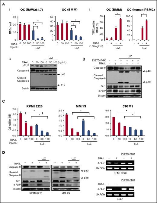 Figure 5. TAK1 inhibition triggers TRAIL-induced death in OCs and potentiates it in MM cells. (A) Mature OCs from RAW264.7 cells and mouse BMMs were cultured in the presence or absence of LLZ1640-2 (LLZ) at 300 nM for 48 hours. TRAIL was added at the indicated concentrations. (Ai) The numbers of TRAP-positive MNCs were counted. (Aii) Percent distribution of TUNEL-positive cells was also estimated within OCs derived from mouse BMMs and human PBMCs. Data were expressed as mean ± SD. *P < .05. (Aiii) The protein levels of c-FLIP, caspase-8, and cleaved caspase-8 were analyzed by western blotting. β-actin was used as a protein loading control. (B) Mature OCs from RAW264.7 cells were cultured in the presence or absence of LLZ at 150 nM for 48 hours. TRAIL at 100 ng/mL and the caspase-8 inhibitor Z-IETD-FMK at 100 μM were added as indicated. The protein levels of caspase-8, cleaved caspase-8, Sp1, and c-FLIP were analyzed by western blotting. β-actin was used as a protein loading control. (C) MM cell lines, RPMI 8226, MM.1S, and 5TGM1, were cultured in the presence or absence of LLZ at 300 nM for 48 hours. TRAIL was added at the indicated concentrations. The cell viability was measured by WST-8 cell proliferation assay. Results were expressed as the mean ± SD. *P < .05. (D) The indicated MM cell lines were cultured in the presence or absence of LLZ at 300 nM for 6 and 24 hours to perform RT-PCR and western blotting, respectively. TRAIL was added at 100 ng/mL as indicated. The protein levels of caspase-8, cleaved caspase-8, Sp1, and c-FLIP were analyzed by western blotting (left). β-actin was used as a protein loading control. Z-IETD-FMK was added at 100 μM as indicated. c-FLIP mRNA expression was analyzed by RT-PCR. GAPDH served as an internal control.