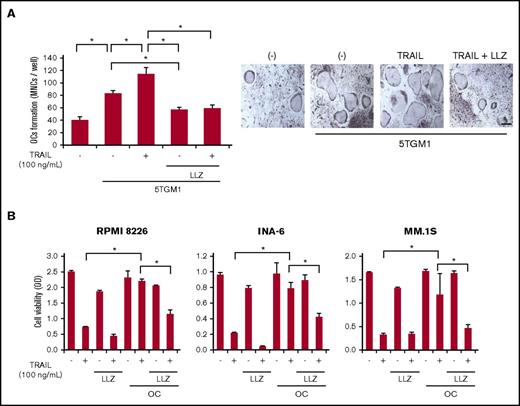 Figure 6. TRAIL disrupts MM cell-OC interaction under TAK1 inhibition. (A) Murine bone marrow mononuclear cells were plated onto 24-well culture plates (1 × 106 cells per well). The cells were treated with M-CSF for 3 days, followed by sRANKL (25 ng/mL) for 2 days to generate adherent preosteoclastic cells. After washing, the adherent preosteoclastic cells were cocultured for 3 days with murine 5TGM1 MM cells at 1 × 104 cells per well. TRAIL at 100 ng/mL and LLZ at 300 nM were added as indicated. TRAP-positive MNCs (5 or more nuclei) were counted as OCs. Data were expressed as mean ± standard error. *P < .05. Microscopic images of TRAP staining in representative cultures are shown (lower panels). Original magnification ×100. Bar represents 100 μm. (B) Human OCs were generated in 24-well culture plates with M-CSF and sRANKL from PBMCs from a healthy donor. The OCs were tightly attached on the culture plates. MM cell lines, INA-6, RPMI 8226, and MM.1S, were cultured alone or cocultured with the OCs for 48 hours. TRAIL at 100 ng/mL and LLZ at 300 nM were added as indicated. MM cells were collected, and their viability was measured by WST-8 assay. Data were expressed as mean ± SD. *P < .05.