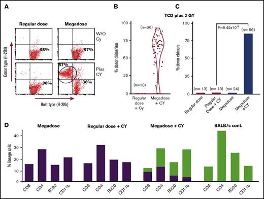 Figure 1. Marked enhancement of chimerism induction upon combining megadose TCD BM transplantation with PTCY. (A) Typical mixed chimerism detected by FACS analysis at day 180. (B-C) Cumulative results of 9 experiments including a total of 66 recipient mice treated by megadose TCD BM plus PTCY, measured at 210 to 300 days posttransplant. Data are presented by violin plot representing the distribution of percent donor chimerism (B) and percent donor chimera (C). Statistical analysis was performed by χ2 analysis. (D) Chimeric mice exhibit multilineage chimerism (green bars, donor; purple bars, host).