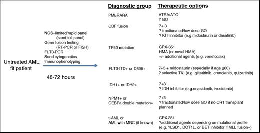 Figure 1. The flow diagram shows how integration of molecular diagnostics and NGS potentially can rapidly segregate patients into groups for whom particular and increasingly targeted therapies have shown benefit or are currently being tested. ATRA, all-trans retinoic acid; ATO, arsenic trioxide; CBF, core-binding factor; FISH, fluorescent in situ hybridization; GO, gemtuzumab ozogamicin; HMA, hypomethylating agent; MRC, myelodysplasia-related change; RT-PCR, reverse transcriptase-polymerase chain reaction; t-AML, therapy-related AML; 713, cytarabine by continuous infusion (7 doses) plus anthracycline (3 doses).
