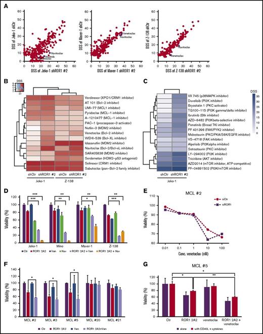 Figure 4. Targeting ROR1 expression augments drug responses for BCR and Bcl-2 inhibitors. (A) DSS values for shRNA Ctr-transduced cells were correlated with the corresponding DSS values for shRNA ROR1-transduced cells to depict differential drug sensitivities and resistance patterns. ● indicates Bcl-2–targeted drugs navitoclax and venetoclax as well as BTK inhibitor ibrutinib for each cell line. (B) Heatmap of DSS values for different apoptotic modulators tested in Jeko-1 and Z-138 shRNA-expressing cells by unsupervised clustering based on average DSS values for each row. (C) Heatmap of DSS values for selective BCR inhibitors functionally relevant in shRNA-expressing Jeko-1 cells. (D) Percentage of cell viability (compared with controls) of untreated or treated cells with ROR1 2A2 mAb (5 µg/mL) for 24 hours followed by addition of indicated drugs for 24 hours. Error bars represent mean plus or minus SD of triplicates. (E) ROR1 silencing enhances venetoclax cytotoxicity in MCL#2 primary cells. Cell viability was measured by PI staining after 24 hours and normalized to the untreated siRNA Ctr sample. (F) Percentage of primary cell viability (compared with controls) of untreated or treated cells with ROR1 2A2 mAb (5 µg/mL) for 24 hours followed by addition of venetoclax for 24 hours. Error bars represent mean plus or minus SD of triplicates. (G) Percentage of viable cells (compared with untreated control) of primary MCL#5 cells cultured alone or in coculture with L-CD40L fibroblasts and the cytokines cocktail and treated with ROR1 2A2 mAb or venetoclax, alone or in combination as indicated. Error bars represent mean plus or minus SD of triplicates. Statistical significances: *P < .05, **P < .01, ***P < .001, calculated by a 2-tailed paired Student t test. ATP, adenosine triphosphate; Conc., concentration; EGFR, epidermal growth factor receptor; FAK, focal adhesion kinase; mTOR, mammalian target of rapamycin; Nav, navitoclax; TKI, tyrosine kinase inhibitor; Ven, venetoclax.