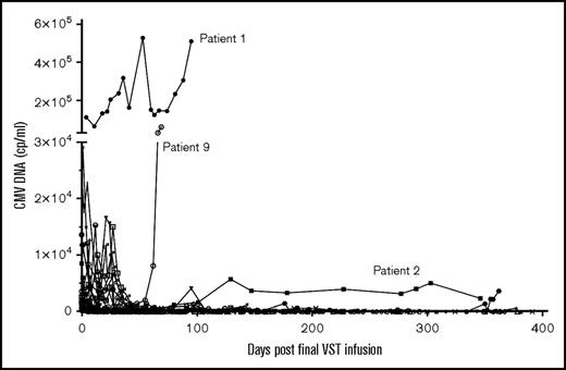 Figure 4. CMV response and reactivations post–final VST infusion. CMV viral load (cp/mL) after final VST infusion in the 28 patients treated for CMV reactivation.