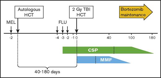 Figure 1. Treatment schema. Melphalan (MEL) was administered at a dose of 200 mg/m2 IV 2 days before the autograft using peripheral blood stem cells. Upon recovery from high-dose MEL, between 40 and 180 days after the autograft, patients proceeded to the nonmyeloablative allograft. The preparative regimen for the allograft consisted of total body irradiation (TBI) at 2 Gy on the day of transplant (HCT). Recipients of unrelated grafts were also given fludarabine (FLU) 30 mg/m2 on 3 consecutive days. Administration of cyclosporine (CSP) began at 5.0 mg/kg orally twice daily on days −3 through +100 (or +56 if related donor), and doses were then tapered to day 180. Mycophenolate mofetil (MMF) was given 15 mg/kg orally thrice daily until day +27 and twice daily thereafter only for unrelated donor recipients, with tapering of doses beginning on day +40 and treatment scheduled to end on day +96. Recipients of grafts from related donors received MMF at 15 mg/kg orally twice daily until day +27.