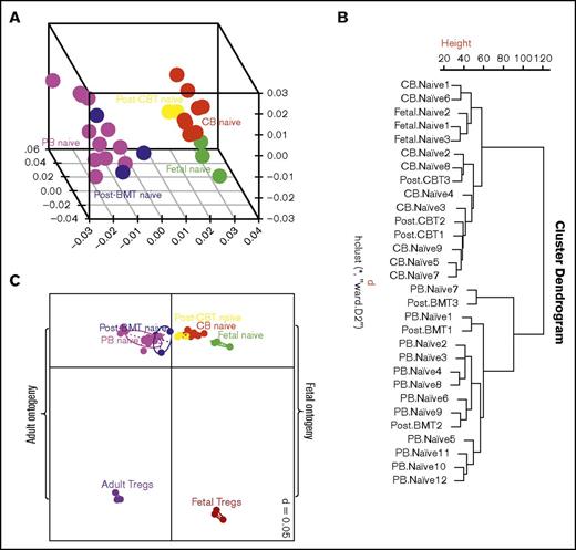 Figure 2. Exploratory analysis of gene expression profiles. (A) Three-dimensional principal component analysis and (B) unsupervised hierarchical clustering of gene expression profile of naive CD4+ T cells from cord blood, peripheral blood, fetal mesenteric lymph nodes and 2 months after CBT and BMT. Naive cord blood CD4+ T cells have a distinct transcription profile to naive peripheral blood CD4+ T cells, but similar to fetal T cells. Cord blood T cells during early reconstitution after CBT retain the fetal-like transcription profile, and thus recapitulate fetal ontogeny. (C) Two-dimensional principal component analysis showing a relationship among naive CD4+ T cells from cord blood, peripheral blood, and fetal mesenteric lymph nodes, and 2 months after CBT and BMT, vs T-regulatory cells from fetal mesenteric lymph nodes and peripheral blood. T cells segregate based on developmental stage and T-cell type. Thus, confirming the distinct transcription profile of naive CD4+ T cells after CBT is not a result of adoption of T-regulatory function.