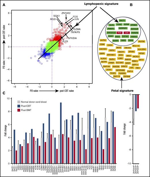 Figure 4. Transcriptional signature of naive cord blood CD4+ T cells is rich in genes induced in the lymphopenic environment. (A) Scatterplot of pairwise global gene expression comparison comparing gene expression in the 2 posttransplant environments (ie, cord blood transplantation and bone marrow transplantation). Gene expression values are plotted on a log scale, and specific genes upregulated in the lymphopenic environment are highlighted with arrows. (B) Nineteen genes induced in the lymphopenic signature and 41 genes of fetal signature. (C) Bar plot showing mean (and where possible, standard deviation) transcript values of 19 upregulated/downregulated genes representing genes induced in the lymphopenic environment. Interestingly, the differential regulation of 19 genes was higher in the naive CD4+ T cells from the cord blood and during early reconstitution after CBT than compared with bone marrow transplantation.
