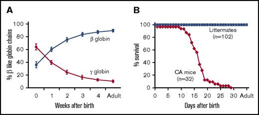 Figure 1. Hemoglobin switching and survival curve analyses of humanized CA mice. (A) Human fetal-to-adult globin gene switching was analyzed in humanized γHPFHβ0/γβA compound heterozygous mice after birth. Human γ-globin and β-globin chain levels in peripheral blood hemolysates were measured by HPLC and plotted as a percentage of total β-like chains across time. High fetal globin chain levels at birth are gradually replaced by adult chains during the first 5 weeks of life. (B) The fractional survival of fully humanized CA (α2α1/α2α1, γHPFHβ0/γHPFHβ0) and littermate control mice are plotted across time. The majority of CA mice die prior to weaning age with a median lifespan of 17 days, whereas all the control littermates survive into adulthood.