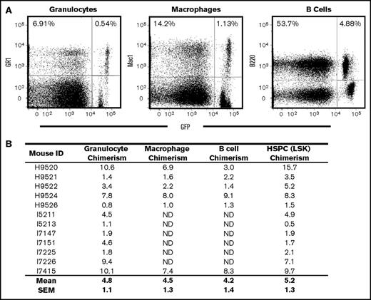 Figure 4. Myeloid and lymphoid chimerism in humanized CA mice after BMT in the absence of cytoreductive conditioning. (A) Bone marrow cells from CA mice 20 weeks after transplantation were stained with fluorescently labeled antibodies that recognize myeloid (Gr-1 and Mac1) and lymphoid (B220) antigens and analyzed by flow cytometry. Donor-derived myeloid and lymphoid cells were determined by GFP fluorescence. Chimerism levels are determined by the ratio of GFP-positive cells to total positive cells for each lineage antibody tested. For this representative mouse, donor-derived Gr-1, Mac1, and B220-positive cells were 7.8% (0.54/6.91), 8.0% (1.13/14.2), and 9.1% (4.88/53.7), respectively. (B) Donor chimerism was consistent between multiple lineages and HSPCs. Overall, the mean (± SEM) granulocyte (Gr-1), macrophage (Mac1), B-cell (B220), and HSPC (LSK) donor chimerism levels for 6 of the transplanted CA mice tested were 5.2% (±1.6%), 4.5% (±1.3%), 4.2% (±1.4%), and 7.4% (±2.1%), respectively.