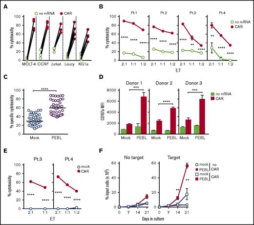 Figure 5. T cells with downregulated CD7 by PEBL acquire powerful cytotoxicity against CD7+ leukemic cells after expression of anti-CD7 CAR. (A) Cytotoxicity of anti-CD7 PEBL-transduced T cells electroporated with or without anti-CD7 CAR mRNA against CD7+ cell lines. Shown are data for 4-hour assays at a 1:1 E:T ratio. Symbols indicate the mean of 3 measurements each with T cells from 4 donors for MOLT-4, CCRF-CEM, and Jurkat, and 5 donors for Loucy and KG1a (P < .001 for each comparison). (B) Cytotoxicity of anti-CD7 PEBL-transduced T cells electroporated with or without anti-CD7 CAR mRNA against primary leukemic cells from patients with T-ALL. Shown are data for 4-hour assays at the indicated E:T ratio. Symbols refer to the mean (± SD) of 3 measurements. (C) Overall specific cytotoxicity of T cells transduced with either anti-CD7 PEBL or GFP alone (Mock) after electroporation with anti-CD7 CAR mRNA against the 5 CD7+ cell lines. T cells from 3 donors were tested at a 1:1 E:T ratio in 4-hour assays. Each symbol represents the specific percentage of cytotoxicity against the CD7+ cell line after subtraction of the percentage of cytotoxicity obtained with the same T cells electroporated without mRNA. Horizontal bars indicate the median for each group. (D) Anti-CD7 PEBL- or mock-transduced T cells from 3 donors were electroporated with or without anti-CD7 CAR mRNA. Cytotoxicity against MOLT-4 was tested at a 1:1 E:T ratio in 4-hour assays. Shown is the MFI of anti-CD107a–PE (H4A3; BD Biosciences). Bars represent the mean (± SD) of triplicate experiments. (E) Anti-CD7 PEBL-transduced T cells were retrovirally transduced with either anti-CD7 CAR or mock-transduced and tested against primary leukemic cells from patients with T-ALL. Each symbol represents the mean (± SD) of triplicate experiments. (F) Mock- or PEBL-transduced T cells, sequentially transduced with or without anti-CD7 CAR, were cultured alone or in the presence of Streck-treated MOLT-4 cells, added weekly and 120 IU/mL IL-2. Symbols indicate the mean (± SD) percentage of cell recovery relative to the number of input cells in triplicate cultures. **P < .01; ***P < .001; ****P < .0001.