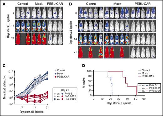 Figure 6. PEBL-transduced T cells expressing an anti-CD7–41BB-CD3ζ CAR exert antitumor activity in xenografts. NOD-SCID-IL2RGnull mice were infused IV with 1 × 106 CCRF-CEM cells labeled with luciferase. A total of 2 × 107 PEBL-CAR T cells were administered IV on day 7 (A) or on day 3 and day 7 (B) after leukemic cell infusion to 3 and 5 mice, respectively. The remaining mice received either mock-transduced T cells or RPMI 1640 instead of cells (Control). All mice received 20 000 IU IL-2 once every 2 days IP. Shown is in vivo imaging of leukemia cell growth after d-luciferin IP injection. Ventral images of mice on day 3 in panel B are shown with enhanced sensitivity to demonstrate CCRF-CEM engraftment in all mice. The complete set of luminescence images is shown in supplemental Figure 7. (C) Leukemia cell growth in mice shown in panels A and B is expressed as photons per second. Each symbol corresponds to bioluminescence measurements in each mouse, normalized to the average of ventral plus dorsal signals in all mice before CAR T-cell infusion. (D) Kaplan-Meier curves show overall survival of mice in the different groups (8 in each group). Mice were euthanized when the total bioluminescence signal reached 1 × 1010 photons per second. The P values were calculated by log-rank test. N.S., not significant.