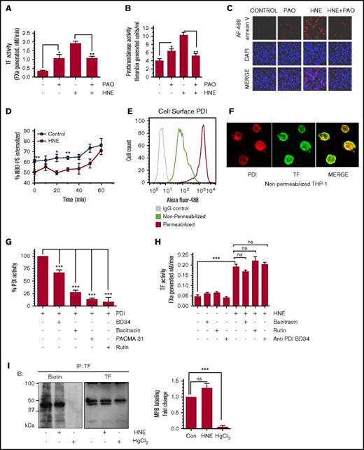 Figure 6. Effect of thiol blocker PAO and PDI inhibitors on HNE-induced PS exposure and TF activation. (A-B) THP-1 cells were treated with PAO (10 µM) for 15 minutes. After washing cells in serum-free medium, cells were treated with HNE (20 µM) for 4 hours, and cell surface TF activity (A) or prothrombinase (B) activity was measured. (C) THP-1 cells were treated with PAO and HNE as described for panels A-B, and fixed cells were stained with 4′-6-diamidino-2-phenylindole (DAPI) and AF488-annexin V. (D) THP-1 cells were treated with HNE (20 µM) for 4 hours; after washing with buffer A, cells were chilled on ice in buffer A containing Ca2+ for 5 minutes. Cells were then incubated with NBD-PS (2 µM) for 10 minutes on ice and washed twice with ice-cold buffer A. Cells were resuspended in buffer A containing Ca2+ prewarmed to 37°C, and fluorescence was read for a time course of 0 to 60 minutes with or without sodium dithionite to determine % NBD-PS internalized (see “Materials and methods”). (E) THP-1 cells, intact or permeabilized, were labeled with anti-PDI antibody and subjected to flow cytometry. Green, intact cells stained with the anti-PDI antibody; red, permeabilized cells stained with anti-PDI antibody; gray, intact cells stained with control immunoglobulin G. (F) Nonpermeabilized THP-1 cells were labeled with either anti-PDI antibody (red) or anti-TF antibody (green) and subjected to confocal microscopy. (G) Recombinant PDI was treated with various PDI inhibitors or anti-PDI inhibitory antibody for 1 hour at the concentrations indicated in the figure. PDI activity was measured using a fluorescence-based insulin reduction assay. (H) THP-1 cells were pretreated with PDI inhibitors or the inhibitory antibody for 1 hour, followed by HNE (20 µM) for 4 hours. Cell surface TF activity was measured in an FX activation assay. (I) THP-1 cells were treated with either HNE (20 µM) for 4 hours or HgCl2 (100 µM) for 5 minutes. After treatment, cells were washed and labeled with MPB (100 µM) for 30 minutes, and excess, unbound MPB was removed and quenched with reduced glutathione (200 µM) for 30 minutes. Cells were then lysed, and TF was pulled down using anti-TF antibodies. The sample was then run on sodium dodecyl sulfate-polyacrylamide gel electrophoresis and probed for MPB and TF using streptavidin and anti-TF antibodies, respectively. Quantification of thiol-labeled TF protein band by densitometry (right). The band intensity measured in control vehicle-treated cells was taken as 1. *P < .05; **P < .01; ***P < .001; ns, not significant (compared with the values obtained in their respective controls or as indicated in the figures). Images in panels C,F were obtained at 63× magnification (oil immersion). IB, immunoblot; IgG, immunoglobulin G.
