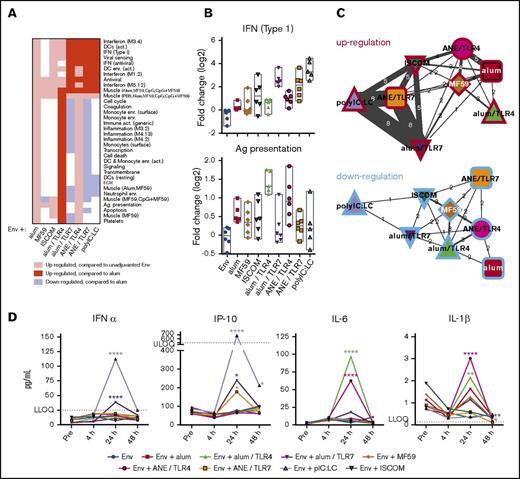 Figure 2. Adjuvant-specific innate gene signatures. RNA transcripts were measured from peripheral blood sampling prevaccination and 4 hours, 24 hours, 72 hours, and 14 days after the initial immunization. (A) Heatmap showing upregulation and downregulation of innate gene modules by adjuvant at 24 hours. (B) Representative plots showing the expression level of the IFN (type 1) module (top panel) and Ag-presentation module (bottom panel). (C) Association networks depicting the number of modules regulated in common between each adjuvant. Similarities in upregulation (red borders) and downregulation (blue borders) are shown; width of connecting lines indicates the number of modules in common, also shown numerically. (D) Quantification of serum cytokines prevaccination, and 4 hours, 24 hours, or 48 hours following the first vaccination. All data points represent vaccine group medians. *P < .05; **P < .01; ****P < .0001 compared with the prevaccination time point by ANOVA. LLOQ, lower limit of quantitation; ULOQ, upper limit of quantitation.