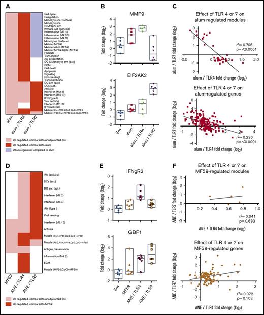 Genetic effects between TLR adjuvants and alum or MF59 formulations. (A) Heatmap depicting the effect of adding the TLR4 or 7 agonists to the alum formulation on gene module regulation. (B) Plots of representative genes showing the change in expression of MMP9 (top panel) and EIF2AK2 (bottom panel) for each alum-containing vaccine group compared with prevaccination. (C) Plots depicting the effect of TLR4 or 7 on the alum formulation. Symbols depict modules (top plot) and individual genes (bottom plot) found to be differentially regulated in the alum-only group, graphed by their change in expression found in the context of the TLR4 (x-axis) and TLR7 (y-axis) containing alum formulations. (D) Heatmap depicting the effect of coformulating ANE with the TLR4 or 7 agonists on gene module regulation. (E) Plots of representative genes showing the change in expression of IFNgR2 (top panel) and GBP1 (bottom panel) for each MF59 and ANE-based vaccine group compared with prevaccination. (F) Plots depicting the effect of ANE/TLR4 or 7 compared with the MF59 formulation. Symbols depict modules (top plot) and individual genes (bottom plot) found to be differentially regulated in the MF59-only group, graphed by their change in expression found in the context of the TLR4 (x-axis) and 7 (y-axis) containing ANE formulations. (G-H) Plots depicting the fold change of genes upregulated by TLR4 (G) or TLR7 (H) in the alum and ANE-based formulations. Blue lines (x = y) depict the hypothetical position of genes that have equal effects in both formulations; red dashed lines depict the linear regression of the actual data. The deviation in slope between both lines was evaluated by regression analysis; the correlation of each data set is indicated by the rs coefficient and P value. Bar graphs depict the mean fold change and standard error between the TLR-regulated genes in either the alum or ANE formulations; P values are derived from a pairwise comparisons of the means. MMP9, matrix metalloproteinase 9.