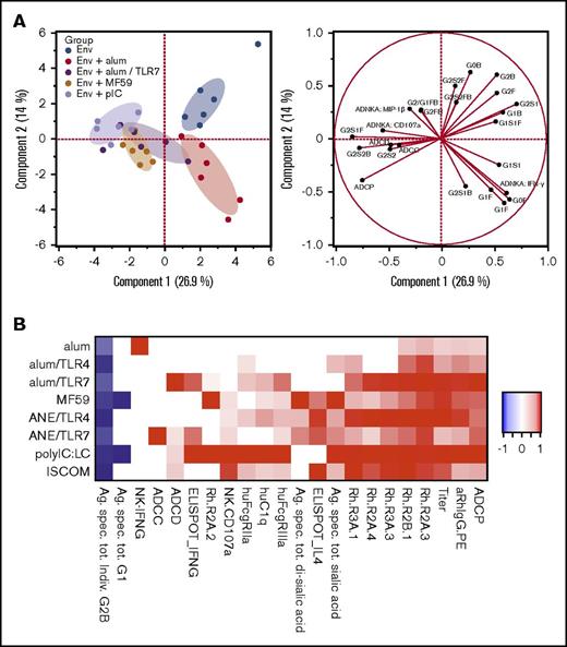 Figure 4. Adjuvants influence immunoglobulin glycan composition and effector functions. Systems serology analyses were used to determine antibody glycan structures and effector functions from sera from study week 14. (A) Principal components analysis of antibody characteristics, differentiating animals within vaccines groups (left plot) by functional and glycan readouts (right plot); only a subset of vaccine groups is shown for simplicity. (B) Heatmap illustrating adaptive immune signature for each vaccine, based on antibody magnitude and effector functions, Fc-receptor binding, and T- and NK-cell cytokines. Heatmap colors indicate significant changes compared with the unadjuvanted group. Responses are scaled by the maximum observed absolute fold change, across all adjuvant groups. hu, human; Rh, rhesus macaque.
