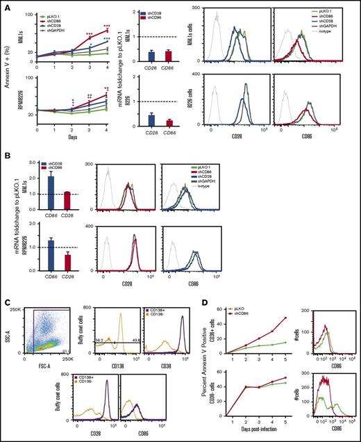 Figure 2. Silencing or blockade of CD86 results in myeloma cell death. (A) Myeloma cell lines were infected with lentiviral particles carrying empty vector (pLKO.1) or the individual shRNAs, and cell death was monitored by annexin V–fluorescein isothiocyanate staining for 4 days. Data for different time points were all compared with pLKO.1 controls (left). mRNA quantification as measured via qRT-PCR comparing levels of CD28 or CD86 to vector-controls (middle). Representative histograms show CD28 or CD86 surface levels at day 4 postinfection. Thin gray histograms at left are isotype controls (right). (B) mRNA quantification as measured via qRT-PCR comparing levels of CD28 or CD86 with vector controls (left). Representative histograms show CD28 or CD86 surface expression at day 4 postinfection. Thin gray histograms at left are isotype controls (right). (A-B) All data are presented as mean ± standard error of the mean (SEM) of at least 3 independent experiments. *P < .05, **P < .01, ***P < .005. All qRT-PCR data are normalized to β-actin as an endogenous control and then compared relative to mRNA levels in pLKO.1 empty vector control. RNA was extracted on day 3 postinfection. For flow cytometry data, histograms are representative of the annexin V− set in the population. (C) Gating strategy for cells from the buffy coat from a bone marrow aspirate of a patient with myeloma. Total cells were separated into CD138+ (purple) vs CD138− (orange). Histograms show that CD138+ cells are also CD38− CD28− CD86+. (D) Cells from the buffy coat from the same patient with myeloma were infected with lentivirus containing shCD86 or pLKO.1 empty vector control. Cell death of CD38+ vs CD38− cells was assessed via staining with annexin V at indicated time points postinfection. Representative histograms for CD86 surface expression are from day 3 postinfection. FSC, forward scatter; GAPDH, glyceraldehyde-3-phosphate dehydrogenase; SSC, side scatter.