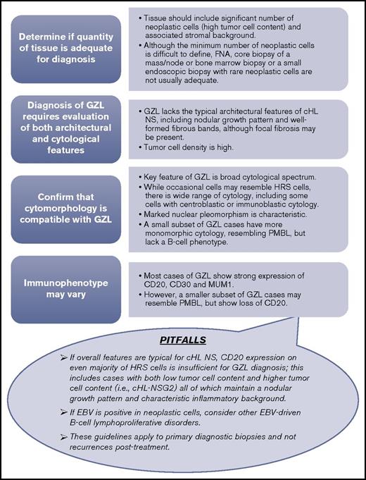 Figure 3. GZL diagnostic algorithm. The minimum diagnostic panel for workup of GZL should include B-cell markers (CD20 and PAX5), MUM1, CD30, and CD15. A broad panel of T-cell and cytotoxic markers is desirable to rule out anaplastic large cell lymphoma. EBV by in situ hybridization should also be a part of the diagnostic panel. (Top) Stepwise approach to the diagnostic evaluation of GZL. (Lower balloon) depicts potential pitfalls in the diagnostic evaluation of GZL to also consider. FNA, fine needle aspiration.