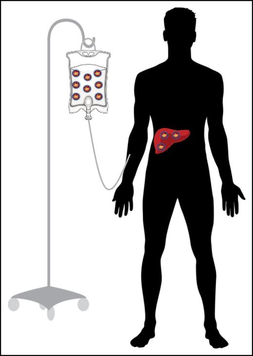 Figure 2. Peripheral administration of rAAV vector for liver-directed gene transfer for HA or HB.