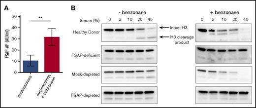 Figure 4. Histones efficiently activate FSAP in serum and are subsequently degraded. (A) Nucleosomes (100 µg/mL) were preincubated with or without benzonase nuclease (5000 U/mL) at 37°C for 1 hour to digest nucleosome DNA before incubation with serum (50%) from 5 healthy donors at 37°C for 1 hour. As a readout for activation of FSAP in serum, complexes of FSAP with AP were determined by ELISA. (B) Nucleosomes that had been preincubated with or without benzonase were incubated with increasing concentrations (0% to 40%) of healthy donor serum, FSAP-deficient serum, FSAP-depleted serum, or mock-depleted serum at 37°C for 1 hour. Total histones and nucleosomes present in the samples were precipitated using Poros HS resin and separated by SDS-PAGE, and histone H3 proteolysis was assessed using anti–histone H3 antibody on immunoblot. Data are expressed as mean ± standard of the mean of 3 independent experiments. Representative blots of 3 independent experiments are shown. Arrows indicate intact histone H3 and a cleavage product of histone H3. **P < .01 (calculated using a paired 2-tailed Student t test).