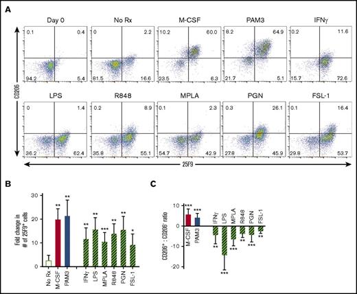 Figure 1. TLR agonists and M-CSF induce CD14+ HLA-DR+ human monocytes to differentiate into macrophages. Monocytes from healthy volunteers were stimulated in vitro with optimized concentrations of M-CSF (500 ng/mL), PAM3 (1 µg/mL), IFN-γ (500 ng/mL), LPS (1 µg/mL), MPLA (1 µg/mL), R848 (3 µg/mL), PGN (1 µg/mL), or FSL-1 (10 ng/mL). Samples stimulated for 3 (n = 2) or 5 (n = 4) days yielded similar patterns of macrophage polarization. (A) Representative dot plots exemplifying changes in 25F9 and CD206 expression. (B) Fold change in the number of MACsuppress (solid bars) or MACinflam (cross-hatched bars) present at the end of culture (mean ± standard deviation of 5-6 independently studied donors per data point). (C) Ratio of CD206+ to CD206− 25F9+ macrophages in the samples described in panel B. *P < .05, **P < .01, ***P < .001 vs unstimulated cultures. Rx, treatment.