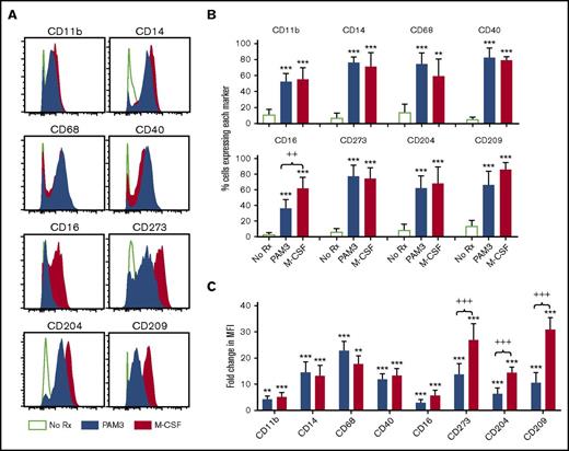 Figure 2. Phenotype of PAM3 and M-CSF macrophages. Purified monocytes were stimulated in vitro for 5 days. Representative histogram (A), percentage (B), and fold change (C) in median fluorescence intensity (MFI) of cells expressing each surface marker (mean ± standard deviation of 6 independently studied donors per group). Bars show the effect of stimulation with PAM3 (blue), M-CSF (red), or medium alone (open green). **P < .01, ***P < .001 vs unstimulated cultures; ++P < .01, +++P < .001 PAM3 vs M-CSF cultures.