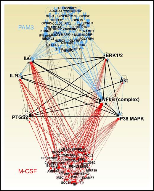 Figure 5. Genes upregulated by PAM3 vs M-CSF and associated regulatory networks. Purified monocytes from 5 donors were stimulated for 4 hours as described in Figure 1. Their changes in gene expression were monitored by microarray. Upregulated genes were identified by comparison with untreated cells from the same donor using a stringency cutoff of P < .0001. All genes with regulatory interactions that could be mapped by IPA were then linked by network analysis. Critical networks are connected by black lines.