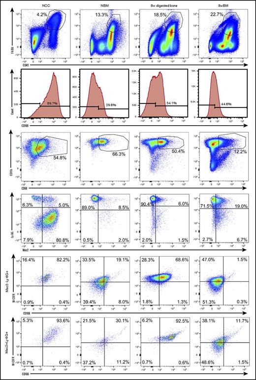 Figure 2. Phenotypic analysis of OMs and BM-derived macrophages from neonatal and adult donors. Flow cytometric analysis (representative data) of freshly isolated NCCs, neonatal BM (NBM) cells, digested (after flushing BM) long bones (8-week digested bone) and flushed BM cells (8-week BM) from 8-week-old mice. An analysis of digested bones and BM from 2 age groups was done to ensure that the identified phenotypes were not confined to a single developmental stage. Dot plots displaying similarly gated events (top to bottom) containing phenotypically similar cells are shown. Fluorescence minus one (FMO) controls collected for these assays are shown in supplemental Figure 1. Additional phenotypic data from these analyses are shown in supplemental Figure 3. Please note that BM-derived macrophages express M-CSFR as expected. However, 2-day– and 8-week–derived BM macrophages do not contain the subgroup of CD166+M-CSFR+ cells.