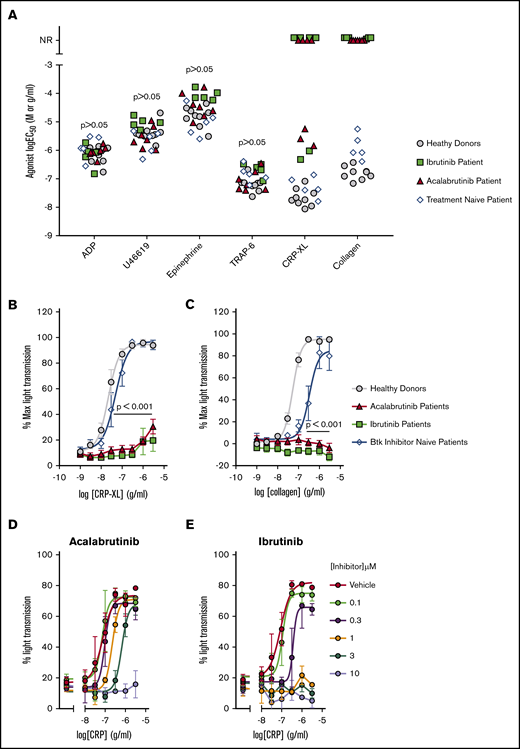 Acalabrutinib and ibrutinib therapy cause dysfunctional GPVI-mediated platelet aggregation. PRP from patients receiving ibrutinib (Ibr; n = 6), acalabrutinib (Acal; n = 7), healthy donors (n = 9), or Btk inhibitor naïve CLL patients (n = 5) was loaded into 96-well microtiter plates containing lyophilized platelet agonists. Plates were shaken for 5 minutes at 37°C and aggregation was measure by light transmission to give an end point measurement. (A) Scatter plot of EC50 values calculated from concentration response curves for ADP, U46619, epinephrine, TRAP-6, CRP-XL, and collagen. Each point represents the response of a patient receiving acalabrutinib (red triangle) or ibrutinib (green square); healthy donor (gray circle) or Btk inhibitor naïve CLL patient (white diamond). NR, patients that did not respond to an agonist at the highest concentration tested. Concentration response curves for GPVI agonists (B) CRP-XL and (C) collagen; each point represents the mean % aggregation values ± standard error of the mean (SEM). Significant differences relative to healthy donors were tested by 2-way ANOVA with the Turkey multiple comparisons test. Aggregation of washed platelets from healthy donors pre-treated with a range of (D) acalabrutinib or (E) ibrutinib concentrations and then stimulated with 3 to 0.01 µg/mL CRP-XL.