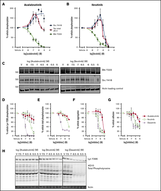 SFK activation and adhesion to collagen is spared by acalabrutinib but not ibrutinib. Washed human platelets from healthy donors were preincubated with a range of (A) acalabrutinib or (B) ibrutinib and then stimulated with 1 µg/mL CRP-XL for 3 minutes at 37°C; tyrosine phosphorylation of Src (Y418) and Btk (Y223) were measured by western blot using site-specific antibodies and total levels of Tec tyrosine phosphorylation were measure by ELISA. Points represent mean levels of tyrosine phosphorylation relative to vehicle-treated controls ± SEM. (C) Representative images of phosphoblots. Washed platelets treated with a range of acalabrutinib, ibrutinib, or dasatinib concentrations and stimulated as previously and blotted for (D) tyrosine phosphorylation of Lyn (Y396) or (E) total phosphotyrosine using a site-specific antibody or 4G10, respectively. Points represent mean levels of tyrosine phosphorylation relative to vehicle-treated controls ± SEM. (F) Aggregation 1 µg/ml CRP-XL stimulated of washed platelets was performed in 96-well plates after treatment with a range of concentrations of acalabrutinib, ibrutinib, or dasatinib concentration response curves are mean platelet aggregation ± SEM relative to vehicle-treated control. (G) Acalabrutinib, ibrutinib, or dasatinib-treated washed platelets from healthy donors were allowed adhere to collagen-coated wells of a 96-well plate after 45 minutes at 37°C; graphs plot concentration response curves to mean numbers of adhered platelets ± SEM relative to vehicle treatment. (H) Representative images of phosphoblots for platelets treated with tyrosine kinase inhibitors.
