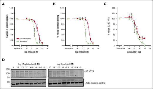 Acalabrutinib is a less potent inhibitor of integrin αIIbβ3activation and granule secretion than ibrutinib. Washed human platelets from healthy donors were preincubated with a range of acalabrutinib or ibrutinib concentrations and then stimulated with 1 µg/mL CRP-XL for 20 minutes. (A) P-selectin and (B) fibrinogen binding was measured by fluorescence-activated cell sorting. (C) Platelets were stimulated with 1 µg/mL CRP-XL for 3 minutes at 37°C. Phosphorylation of β3 (Y773) was measured by western blotting. Points represent mean responses relative to vehicle ± SEM. (D) Representative β3 (Y773) blots.