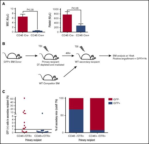 Figure 1. LT-HSC engraftment after BM transplantation is significantly impaired after hematopoietic cell depletion. (A) Peripheral blood analysis 48 hours after a single injection of 100 ng DT showed a significant depletion of leukocytes and platelets. (B) Pictogram describing a secondary transplant assay that used a GFP+ BM donation to DT-depleted and irradiated primary recipients. Primary BM was then transplanted along with WT competitor BM into irradiated WT secondary recipients. Bone marrow analysis for the presence of GFP positivity was performed at 16 weeks to evaluate the effectiveness of primary recipient LT-HSC engraftment defined as >1% GFP. (C) Flow cytometric analysis of mouse BM 16 weeks after secondary transplant assay evaluating the LT-HSC engraftment. WBC, white blood cell count.