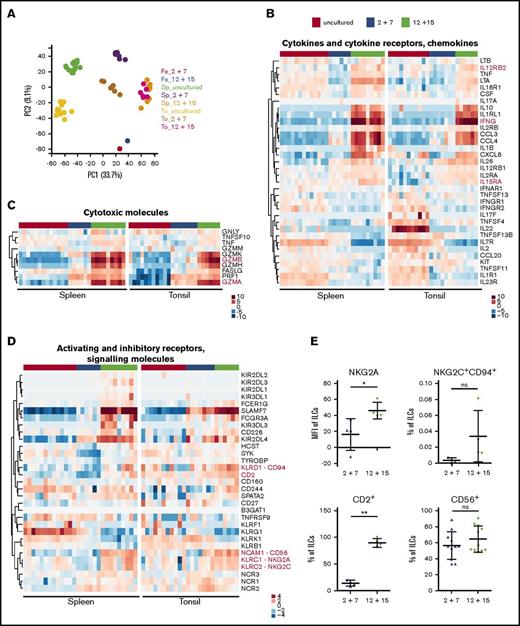 Figure 4. Transcriptional profile of ILC3s upon IL-12 and IL-15 culture is reminiscent of early differentiated NK cells. Tonsil (To)- and spleen (Sp)-derived NKp44+ ILC3s were expanded for 3 weeks with IL-2 and IL-7 or IL-12 and IL-15 and together with freshly sorted cells were subjected to RNA-seq. (A) Clustering of samples using the first 2 principal components (PC). Sp_uncultured, N = 13 samples (10 HFL donors, 4-15 mice per donor); Sp_2+7, N = 6 (3 HFL donors, 4 mice per donor); Sp_12+15, N = 9 (6 HFL donors, 4-5 mice per donor); To_uncultured N = 11; To_2+7, N = 7; To_12+15, N = 6. (B-D) Heatmaps depict differential expression of selected genes encoding (B) cytokines/chemokines and cytokine receptors, (C) cytotoxic effector molecules, and (D) activating and inhibitory receptors and signaling molecules. Treatment conditions are color-coded on top: uncultured cells (red), IL-2 and IL-7 (blue), and IL-12 and IL-15 (green). Red text indicates genes of interest. (E) Protein expression of selected markers in IL-2 plus IL-7 and IL-12 plus IL-15 cultures of splenic ILC3s. For quantification (mean ± SD) of NKG2A, NKG2C, and CD2, N = 4 (3 HFL donors, 4 mice per donor); for CD56, N = 11 (7 HFL donors, 2-8 mice per donor). ns, P > .05; *P < .05; **P < .01 using paired Student t test. Fe, feeders alone (pooled from several expansions); MFI, geometric mean fluorescence intensity.