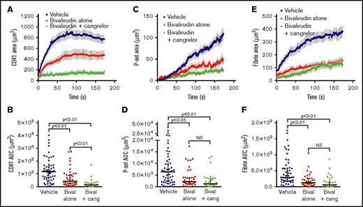 Figure 5. P2Y12 signaling does not contribute to thrombin mediated platelet activation in the core region. Laser-induced injury was performed in cremaster muscle arterioles of wild-type mice treated with vehicle (blue), bivalirudin alone (0.5 µg/g, red), or bivalirudin plus cangrelor (0.75 µg prior to each injury, green) as described in “Materials and methods.” (A-B) Total platelet accumulation over time (A; mean ± SEM) and area under the CD41 vs time curve (AUC) (B; line and error bars show the median and interquartile range). (C-D) The P-selectin–positive area over time (C; mean ± SEM) and area under the P-selectin vs time curve (D; line and error bars show the median and interquartile range). (E-F) Fibrin accumulation over time (E; mean ± SEM) and the area under the fibrin vs time curve (F; median and interquartile range). Vehicle, n = 55 injuries in 12 mice; bivalirudin alone, n = 38 injuries in 6 mice; bivalirudin plus cangrelor, n = 29 injuries in 7 mice. The vehicle and bivalirudin alone groups shown are the same as those included in supplemental Figure 3.