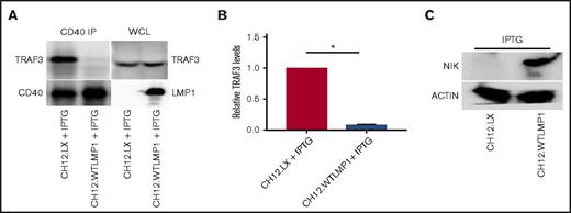 Figure 4. CD40-associated TRAF3 and cellular NIK levels in matched LMP1+ vs LMP1− clones of mouse BCL lines. (A) The mouse BCL cell line CH12.LX and a subclone stably transfected with IPTG-inducible WT LMP1 were cultured overnight with IPTG as described in “Methods.” CD40 was immunoprecipitated from whole-cell lysates as in Figure 2, and samples subjected to SDS-PAGE were analyzed for CD40-associated TRAF3 by western blot. A representative of 3 similar blots is presented. (B) Relative CD40-associated TRAF3 levels (presented as mean values ± SE from 3 independent experiments as above), with CD40-associated TRAF3 levels in parent CH12.LX cells set at 1. *P < .0001. (C) Effect of LMP1 expression on relative cellular NIK levels. Whole-cell lysates of the indicated cell lines were blotted for NIK and actin as described in “Methods.”