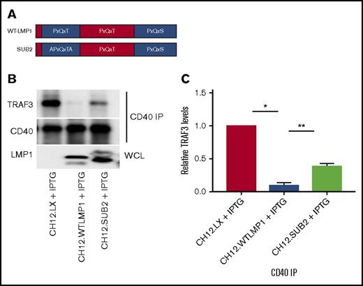 Figure 5. LMP1 sequestration of TRAF3 requires the major LMP1 cytoplasmic domain TRAF-binding site. (A) A schematic of the CTAR1 cytoplasmic region of LMP1, indicating its 3 TRAF-binding motifs. The SUB2 LMP1 molecule has the indicated mutation in the first of these motifs. (B) CD40 immunoprecipitations (IP) as in prior figures, from whole-cell lysates (WCL) of parent CH12.LX cells or transfected subclones expressing WT or SUB2 LMP1 molecules, induced to express LMP1 as in Figure 4. A representative western blot of 3 similar experiments is shown. (C) Relative CD40-associated TRAF3 levels (presented as mean values ± SE from 3 independent experiments as above), with CD40-associated TRAF3 levels in parent CH12.LX cells set at 1. A 1-way ANOVA was used to analyze results for statistical significance, and the adjusted P value was calculated using Sidak’s multiple comparison test (*P < .0001, **P = .001).