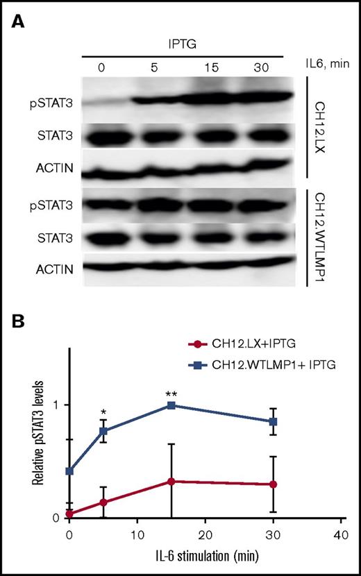 Figure 6. Influence of LMP1 expression on responsiveness to IL-6 signaling. (A) The indicated cell lines were stimulated with recombinant mouse IL-6 (as described in “Methods”), and whole-cell lysates were subjected to SDS-PAGE and western blot analysis for the indicated proteins. A representative blot of 3 similar experiments is shown. (B) Relative STAT3 phosphorylation following IL-6 stimulation was quantified in 3 independent experiments, and mean values ± SE were calculated. A 2-way ANOVA was used to examine the results for statistical significance, and the adjusted P value was calculated using the Bonferroni method (n = 2 independent experiments; *P = .043, **P = .031).