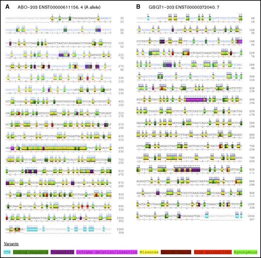 Figure 1. SNPs found in the CDSs of the human ABO and GBGT1 gene transcripts. Together with SNPs, cDNA sequences of ABO (ABO-203 ENST0000061156.4) and GBGT1 (GBGT1-203 ENST00000372040.7) genes were retrieved and modified; they are shown in panels A and B, respectively. The SNPs have been color coded by variation, as indicated at the bottom of the figure. The nucleotide and deduced amino acid sequences in the CDSs were numbered; they are shown at the right of each column.
