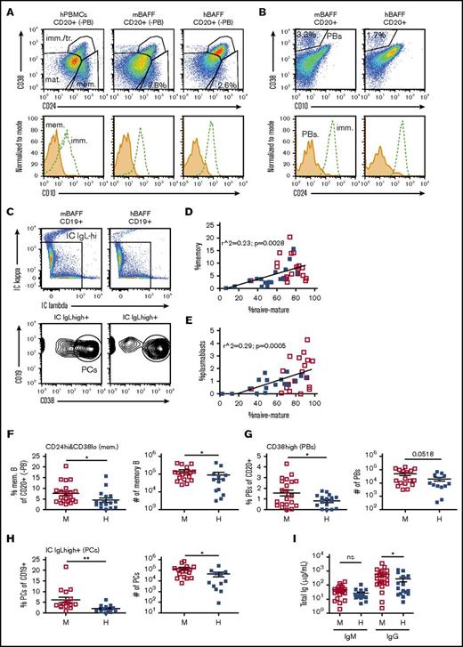 Figure 5. Memory B cells, plasmablasts, and serum immunoglobulins in hu-mice expressing mBAFF or hBAFF. (A) Representative flow cytometric analysis of CD38 and CD24 expression (top plots) on hCD45+CD20+ from human PBMCs and from spleen of BRGS and hBAFFKI-BRGS hu-mice (after gating out CD38vhigh PBs by Boolean gate as shown in Figure 4A). The plots show the gating of CD38lowCD24high memory B cells, CD38highCD24high immature/transitional B cells, and CD38lowCD24low naive mature B cells. The bottom histograms confirm low CD10 expression on memory B cells relative to the high expression on immature/transitional B cells. (B) Representative flow cytometric analysis of CD38 and CD10 expression (top plots) on total hCD45+CD20+ spleen cells showing the gating of CD38vhighCD10− plasmablasts. The bottom histogram confirms no CD24 expression on the gated plasmablasts (PBs) relative to the high expression on immature/transitional B cells (gated as CD38highCD24high). (C) Representative flow cytometric analysis to identify plasma cells in the spleen of hu-mice. Splenic hCD45+CD19+ cells were first gated for high expression of intracellular (IC) Igκ or Igλ (top plots, shown with biexponential axes). These latter (IC IgL-high+) cells were then gated for high expression of CD38 (bottom plots). (D-E) Scatter plot analyses of the percentage of CD38lowCD24low naive mature B cells (x-axis) relative to the percentage of CD38lowCD24high memory B cells (y-axis) within the CD20+ (-PB) cell population (D), and of the percentage of CD10– mature B cells (as in Figure 4A) within CD20+ (-PB) cells (x-axis) relative to the percentage of CD38vhighCD10− plasmablasts (y-axis) within all CD20+ cells (E) in individual BRGS (□) and hBAFFKI-BRGS (▪) hu-mice. The linear regression analyses were performed on all data. (F) Frequencies of memory B cells (identified as in panel A) in the CD20+ (-PB) splenic B-cell population (left) and absolute cell numbers (right) in individual BRGS and hBAFFKI-BRGS hu-mice. (G) Frequencies of plasmablasts (identified as in panel B) within CD20+ splenic cells (left) and absolute cell numbers (right). (H) Frequencies of plasma cells (identified as in panel C) within CD19+ splenic cells (left) and absolute cell numbers (right). (I) Total IgM and IgG concentrations in serum of BRGS and hBAFFKI-BRGS hu-mice. Each symbol in panels D through I represents a mouse; bars are mean and SEM. N = 16 to 23 mice per group and 4 different CB groups. *P < .05; **P < .01.