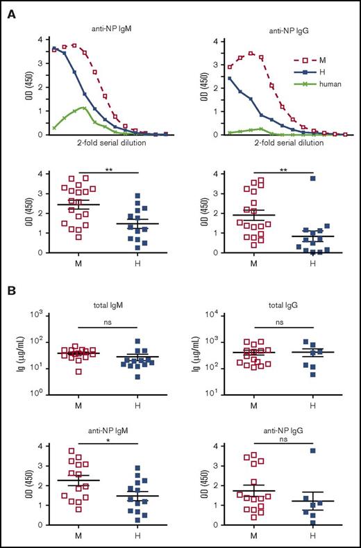 Figure 6. T-cell–independent antibody responses. (A) BRGS and hBAFFKI-BRGS hu-mice were immunized with NP-Ficoll and antibody responses to NP were measured in serially diluted serum by ELISA. Human serum was used as negative control (top graphs). NP-specific IgM and IgG responses are indicated as O.D. (405 nm) values. Top graphs are representative ELISA curves after the subtraction of background signal. Data from 3 independent experiments were combined in the bottom graphs. Each experiment (set) showed similar differences between mBAFF and hBAFF samples. The graph reports O.D. values corresponding to the same serum dilution for every sample within a set of ELISAs and within the linear part of the ELISA curves. The serum dilution in each of the 3 sets was selected based on the condition that the average O.D. of the mBAFF group was similar between sets. (B) Bottom graphs display anti-NP IgM and IgG O.D. (405 nm) values for a subset of hu-mice with similar total IgM and IgG levels (top graphs). *P < .05; **P < .01.