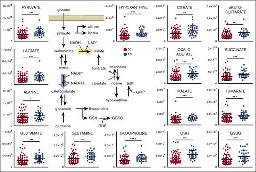 Figure 2. DS promotes a significant metabolic reprogramming of RBCs. Levels of metabolites involved in glycolysis, glutathione homeostasis, carboxylic acids, and purine metabolism are significantly increased in RBCs from individuals with T21 (dark blue) when compared with age-matched disomic individuals (red) (y-axis = arbitrary units). **P < .01; ***P < .001; ****P < .0001, Student t test.
