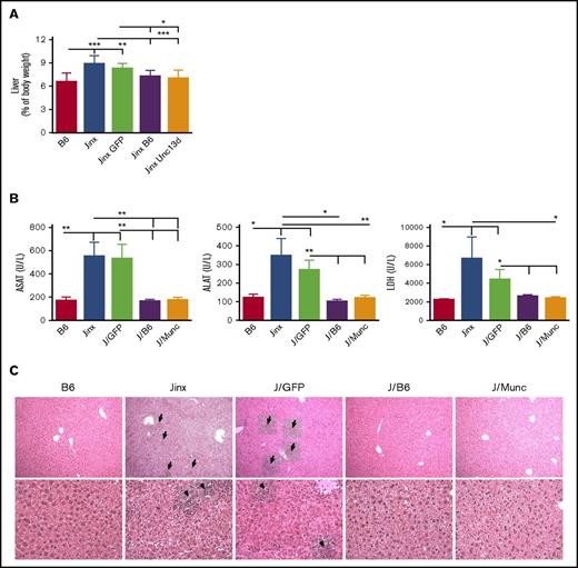 Figure 4. Hepatomegaly and liver damage. (A) Liver weight is presented as a percentage of body weight. (B) Serum levels of aspartate transaminase (ASAT), alanine transaminase (ALAT), and lactate dehydrogenase (LDH). Data are presented as the mean ± standard error of the mean. P values were calculated using an unpaired Student t test. (C) Hematoxylin and eosin staining of liver sections at day 14 postinfection. Inflammatory infiltrates are depicted with arrows (upper panel: 10× objective; lower panel: 25× objective). Representative sections are shown. *P < .05; **P < .01; ***P < .001.