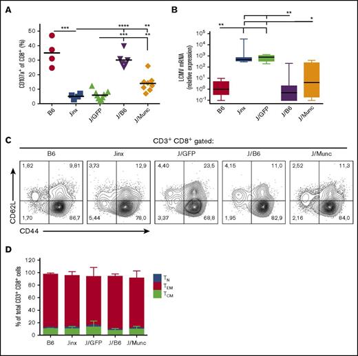Figure 5. Functional and phenotypic characterization of CD8+ CTLs. (A) To assess degranulation activity, splenic CD8+ T cells were stimulated with murine anti-CD3 (3 µg/mL). Surface expression of CD107a was determined by flow cytometry and presented as percentage of CD8+ population that was CD107a+. P values were calculated using an unpaired Student t test. (B) The viral titer in the liver was measured by a qPCR assay of amplified LCMV mRNA and was normalized against levels of endogenous murine β-actin. The data are presented in a box plot, and P values were determined using a Kruskal-Wallis test for multiple comparisons. Representative fluorescence-activated cell sorter plots (C) and a bar graph (D) showing the distribution of CD8+ T-cell subsets (mean ± standard deviation) at euthanasia (TN: CD62L+CD44−; TCM: CD62L+CD44+; TEM: CD44+CD62L−). *P < .1; **P < .01; ***P < .001; ****P < .0001.
