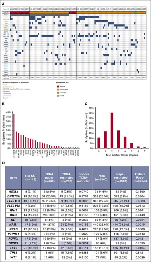 Figure 1. Mutation profile of patient cohort at diagnosis. (A) Heat map detailing mutation distribution among patient cohort with individual cytogenetic risk stratification and relapse/nonrelapse status post–allo-SCT. (B) Frequency of mutations in the cohort. (C) The number of mutations detected per patient in our cohort. (D) Comparison of our cohort with 2 published cohorts of de novo AML patients from the Cancer Genome Atlas (TCGA)7 and Papaemmanuil et al11 (Papa). TCGA and Papa datasets were curated to exclude mutations that would not have been covered by our NGS panel (TCGA-restricted and Papa-restricted). Fisher’s exact test was used to compare frequency of mutations in the indicated genes between our cohort and the restricted TCGA and Papa cohorts. Genes and frequencies highlighted in blue are those where P < .05.