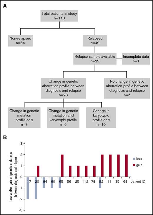 Figure 3. Patients with or without genetic changes between diagnosis and relapse. (A) One hundred thirteen patients in our study were divided into those who relapsed after allo-SCT and those who did not. Patients were further classified according to those where changes to the profile of genetic aberrations, either in karyotype or in genetic mutations between diagnosis and relapse. n, number of patients. (B) Graph showing 13 patients who had changes (gains and losses) of the number of genetic mutations between diagnosis and relapse.