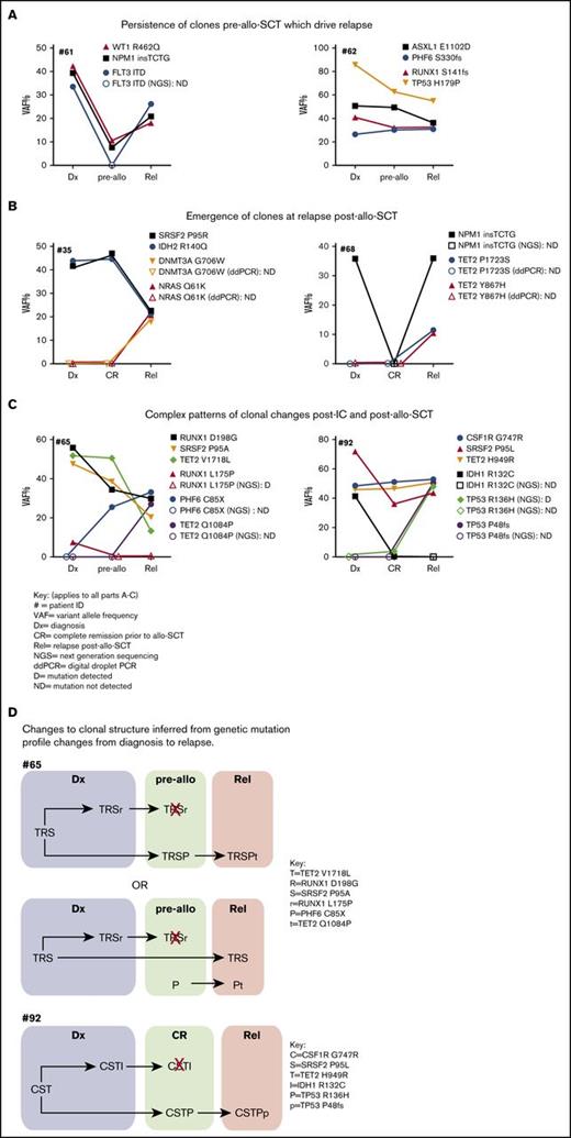 Figure 4. Graphs showing changes to genetic mutation profile variant at diagnosis, post-IC/pre–allo-SCT, and relapse posttransplant in AML patients. The key shown in (A) applies to (A-C). (A) Patients (61 and 62) where genetic mutations are present at diagnosis were detected at CR and recurred at relapse. (B) Patients (35 and 68) who acquired new mutations at relapse that were not detected at diagnosis or CR. (C) Patients (65 and 92) who acquired new mutations at relapse that were detected pre–allo-SCT. (D) The changes to clonal structure in patients 65 and 92 from diagnosis (Dx) (blue shading), pre–allo-SCT (green shading), and relapse (pink shading) inferred from changes of VAF. Two possible examples of clonal structure of 65 and the most likely structure for 92 are depicted. Letters represent mutations (shown in key) that cooccur in the same clone/ subclone. Red X, elimination of subclone.