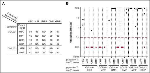 Figure 4. Hierarchical relationships of normal HSPCs are not maintained in BP-CML. (A) Percentage purities of population, after FACS sorting, injected for secondary transplant (Tx) from 2 patients (COL091, CML002). (B) Secondary engraftment of cells from 2 patients (COL091 and CML002). x-axis: bottom: patient sample populations injected into primary mice; top: population from primary engrafted mouse injected into secondary recipient. y-axis: mean percentage human (h)CD45+CD33+CD19− cell engraftment/total live MNC. Red line: engraftment threshold. Each dot represents 1 injected mouse: black dots: engrafted mice; red dots: mice that failed to engraft.