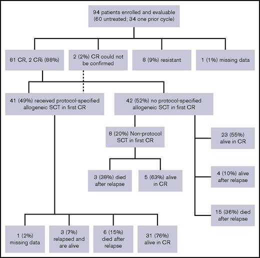 Figure 2. Patient disposition and response. SCT, stem cell transplant.