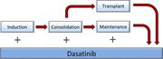 Graphical abstract for: US intergroup study of chemotherapy plus dasatinib and allogeneic stem cell transplant in Philadelphia chromosome positive ALL;