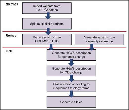 Figure 2. Processing of variants. An overview of the processing of variants after they have been imported into the database. Firstly, variants found in multiallelic sites (n = 312) were split up and treated as separate individual variants. A multiallelic site is a specific locus in the genome with ≥2 alternate sequences observed in addition to the reference sequence. Secondly, all variants were remapped from the GRCh37 assembly to their corresponding LRG reference. Discrepancies between these references were found at 101 variant locations, so to handle the transition to the LRG reference correctly, additional variants were generated to reflect these differences. Thirdly, accurate descriptions according to HGVS nomenclature were generated at the DNA level.24 All variants were then classified according to terms defined by Sequence Ontology v2.525 and alleles generated. 1000 Genomes, 1000 Genomes Project4; GRCh37, Genome Reference Consortium human genome build 3745; HGVS, Human Genome Variation Society24; LRG, Locus Reference Genomic.46 The Sequence Ontology set of terms and relationships are used to describe features and attributes of biological sequences.25